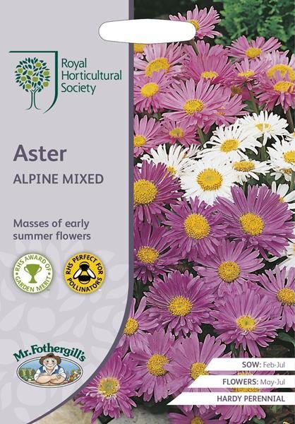 RHS Aster Alpine Mixed