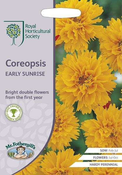 RHS Coreopsis Early Sunrise
