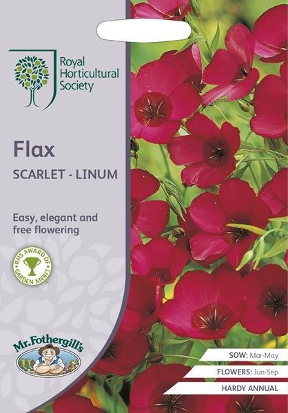 RHS Flax Scarlet - Linum