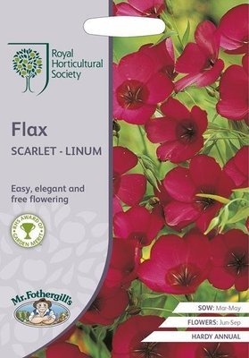 RHS Flax Scarlet - Linum