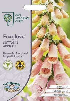 RHS Foxglove Suttons Apricot