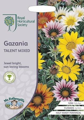 RHS Gazania Talent Mixed