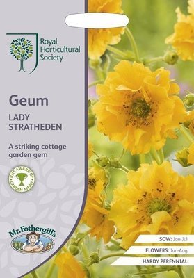 RHS Geum Lady Stratheden