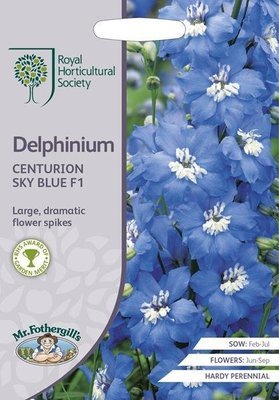 RHS Delphinium Centurion Sky Blue F1