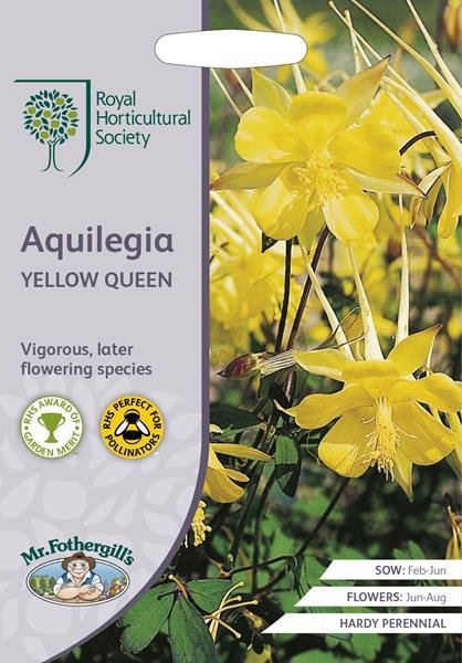 RHS Aquilegia Yellow Queen