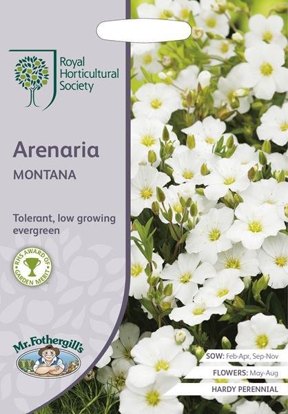 RHS Arenaria montana