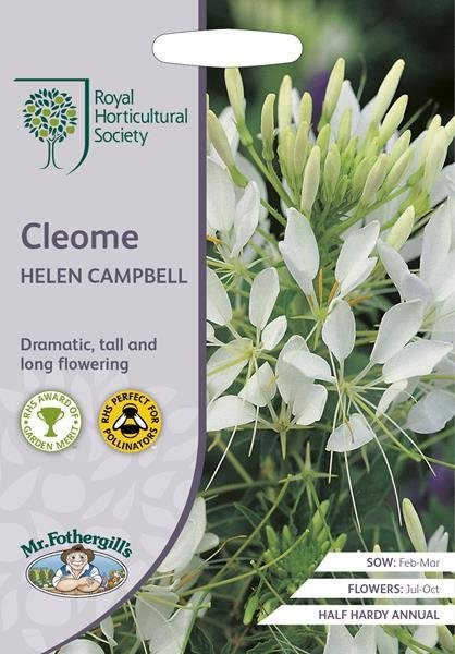 RHS Cleome Helen Campbell