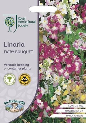 RHS Linaria Fairy Bouquet