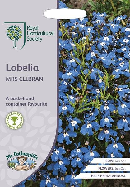 RHS Lobelia Mrs Clibran