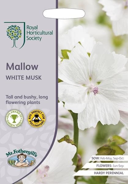 RHS Mallow White Musk