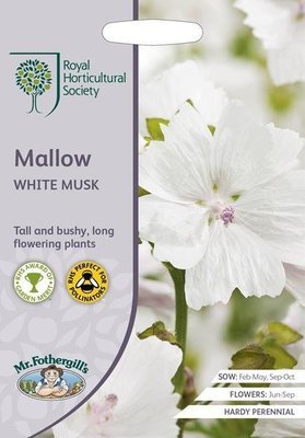 RHS Mallow White Musk