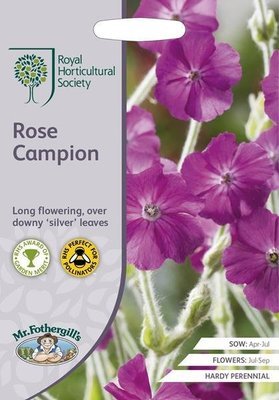 RHS Rose Campion