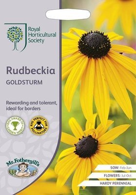 RHS Rudbeckia Goldsturm