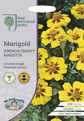RHS Marigold (French) Dainty Marietta