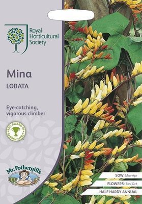 RHS Mina lobata