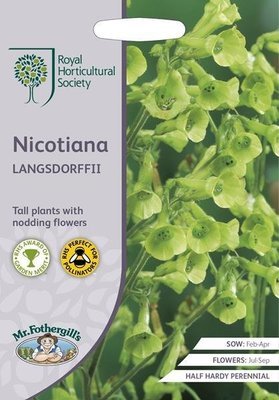 RHS Nicotiana langsdorffii