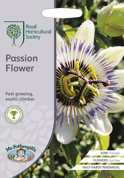 RHS Passion Flower