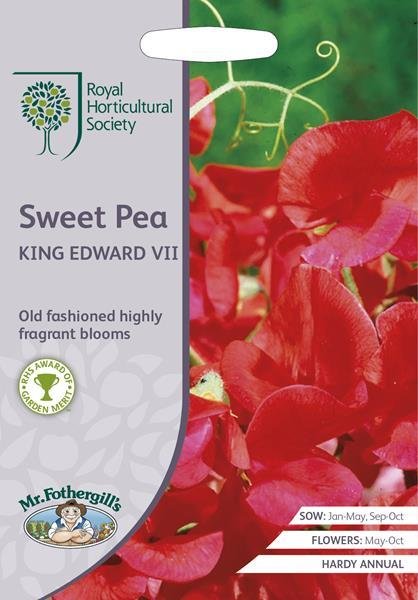 RHS Sweet Pea King Edward VII