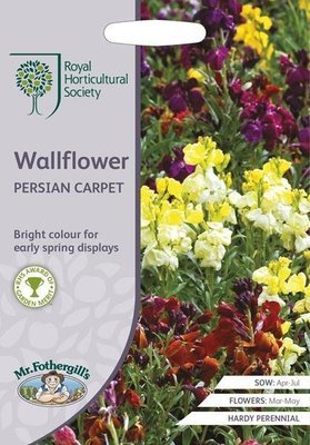 RHS Wallflower Persian Carpet