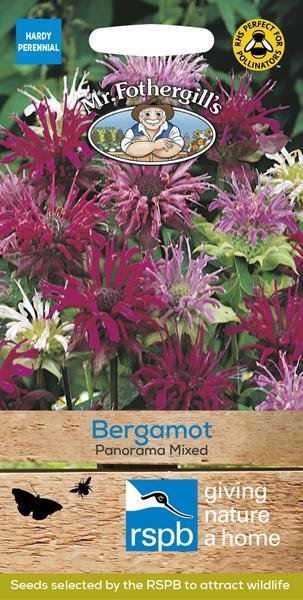 Bergamot Panorama Mixed Seeds