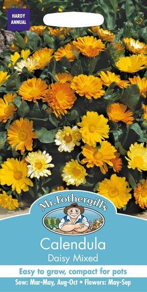 Calendula Daisy Mixed