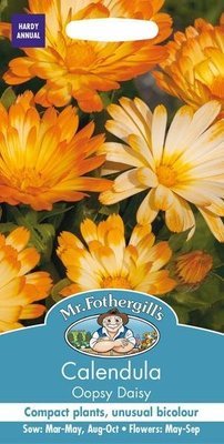 Calendula Oopsy Daisy Seeds