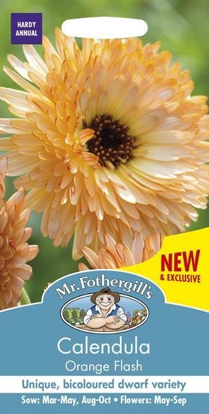 Calendula Orange Flash