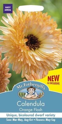 Calendula Orange Flash