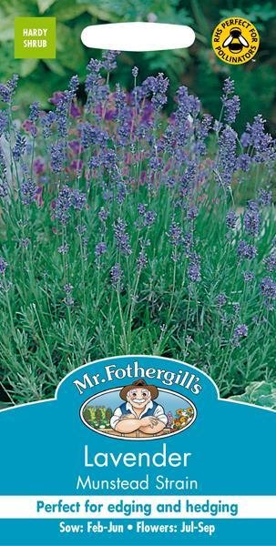 Lavender Munstead Strain Seeds