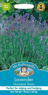 Lavender Munstead Strain Seeds
