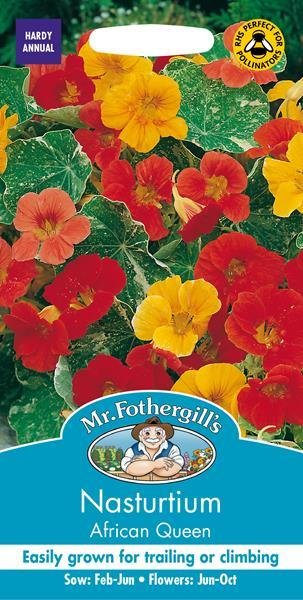 Nasturtium African Queen Seeds
