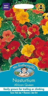 Nasturtium African Queen Seeds