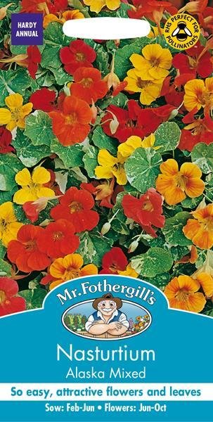 Nasturtium Alaska Mixed Seeds
