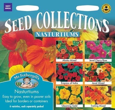 Nasturtium Seed Collection