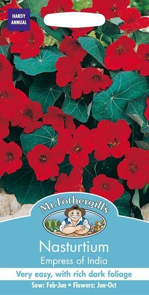 Nasturtium Empress of India Seeds