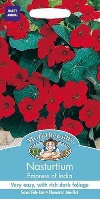 Nasturtium Empress of India Seeds