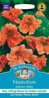 Nasturtium Salmon Baby Seeds
