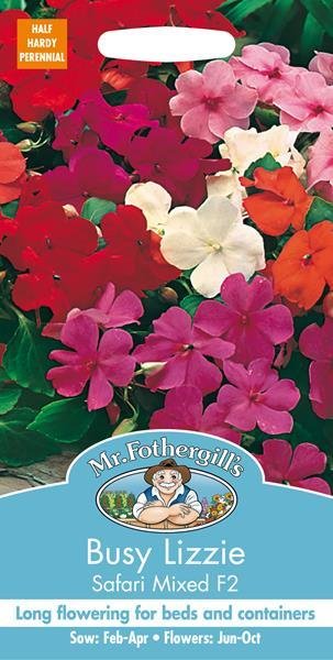 Busy Lizzie Safari Mixed F2 Seeds