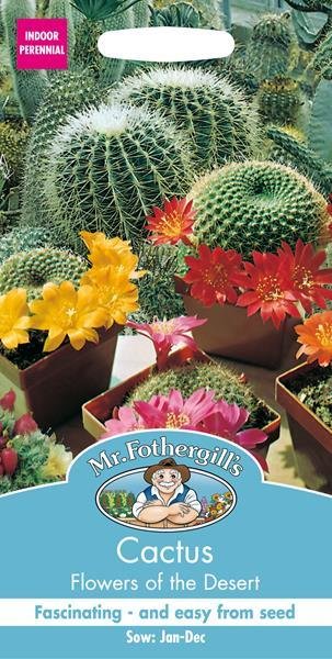 Cactus Flowers of the Desert