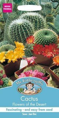 Cactus Flowers of the Desert