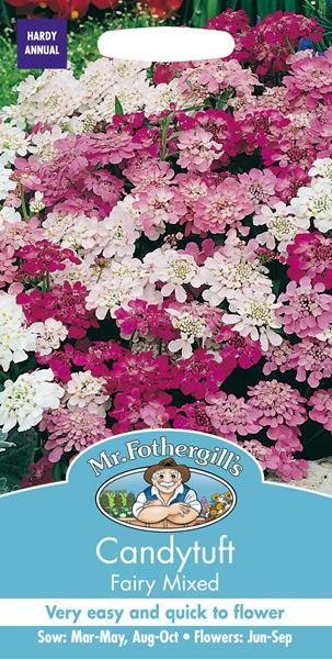 Candytuft Fairy Mixed Seeds