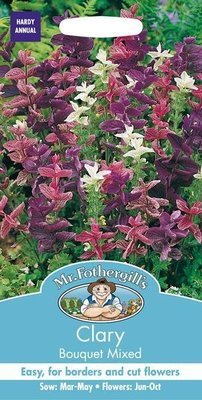 Clary Bouquet Mixed Seeds