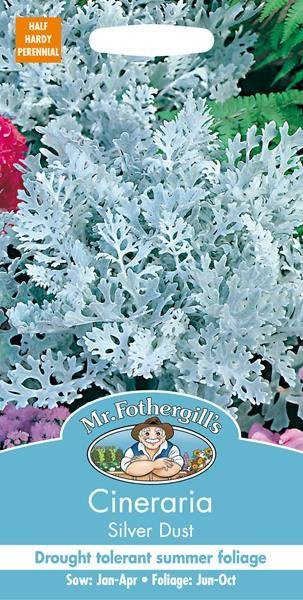 Cineraria Silver Dust Seeds