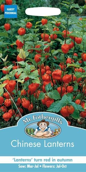 Chinese Lanterns Seeds