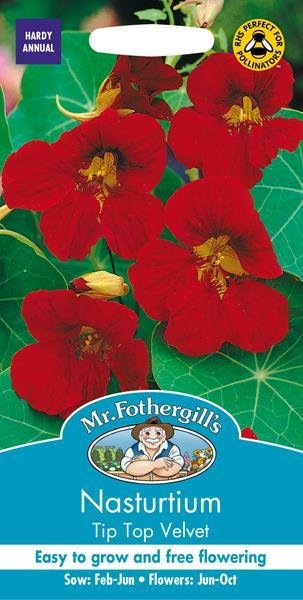 Nasturtium Tip Top Velvet Seeds