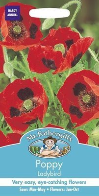 Poppy Ladybird Seeds