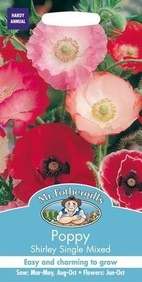 Poppy Shirley Single Mixed