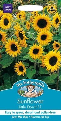 Sunflower Little Dorrit F1