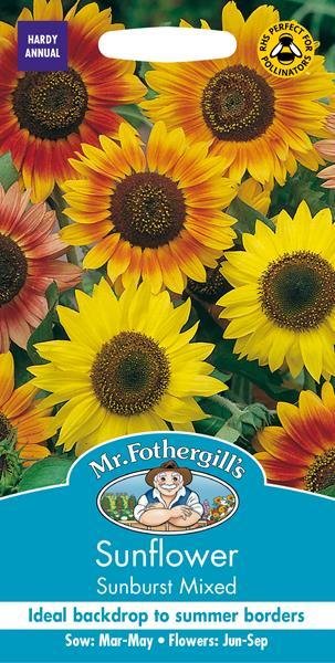 Sunflower Sunburst Seeds
