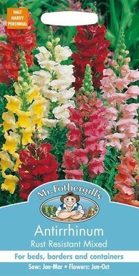 Antirrhinum Seeds - Rust Resistant Mixed